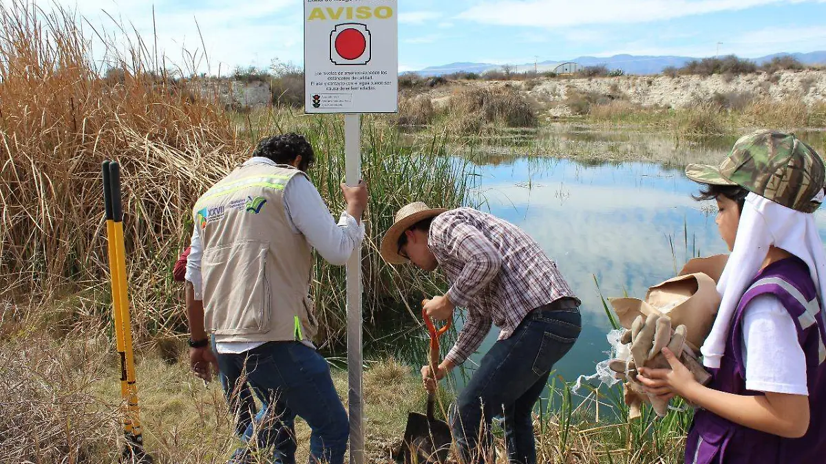 Agua Contaminada Arsénico IPICYT