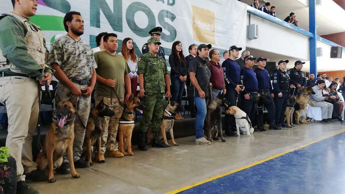 Policia Canina soledad (2)
