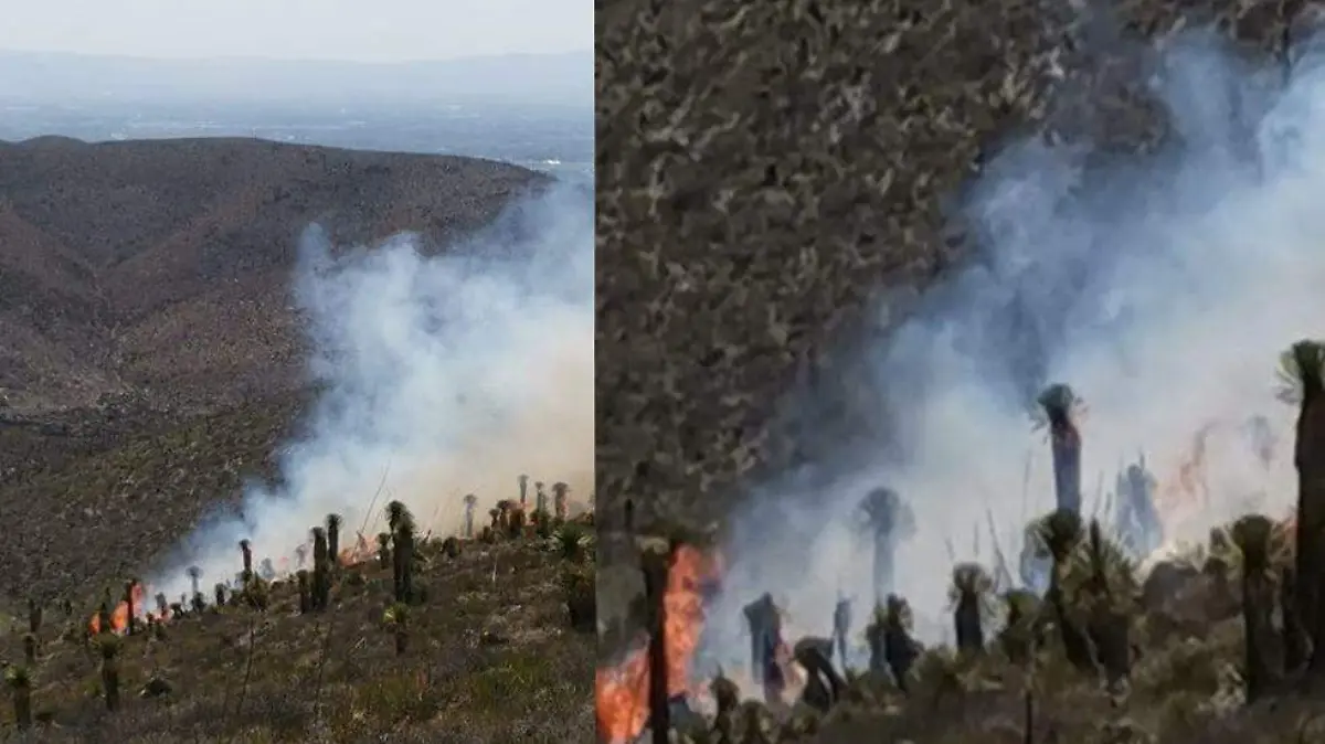 INCENDIO