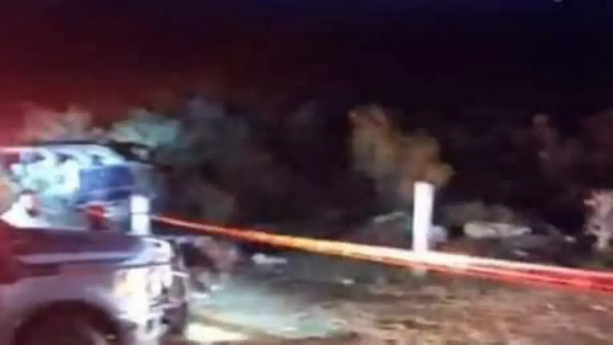 e3519d5e-703e-4ea6-b800-3bdf771ef767