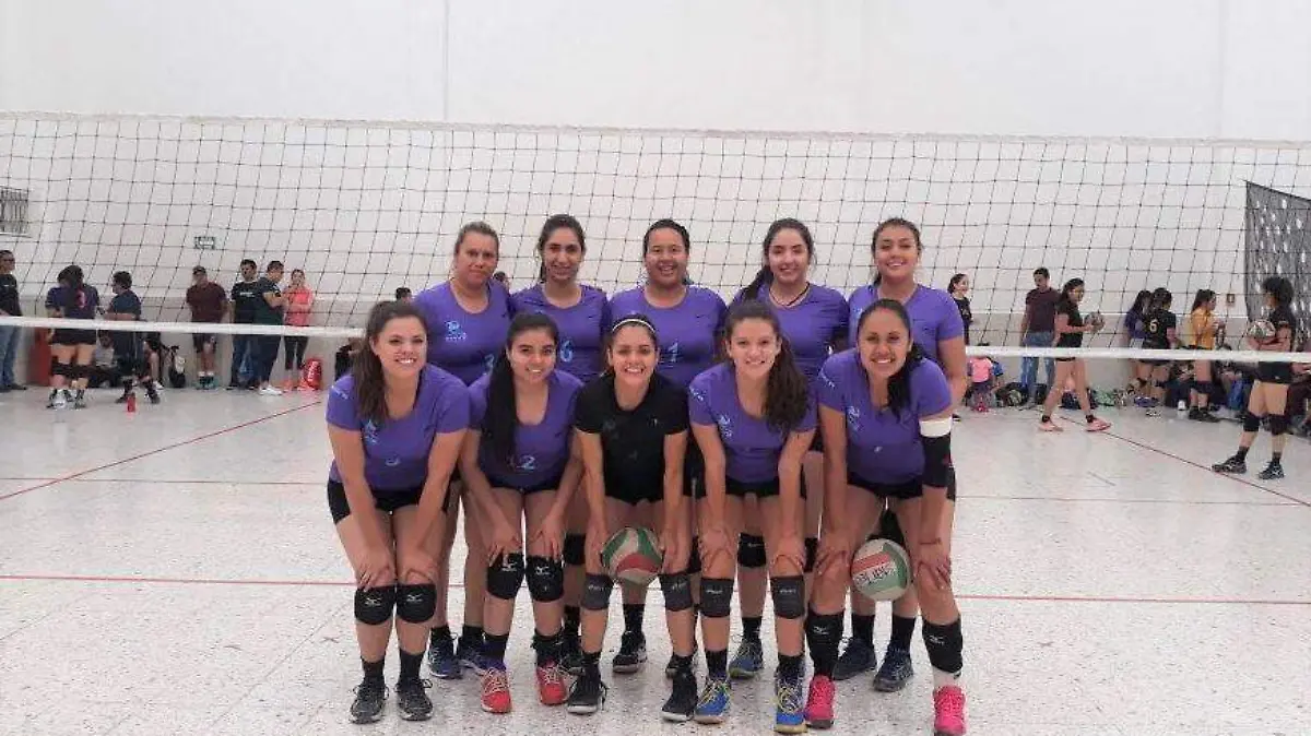 volei