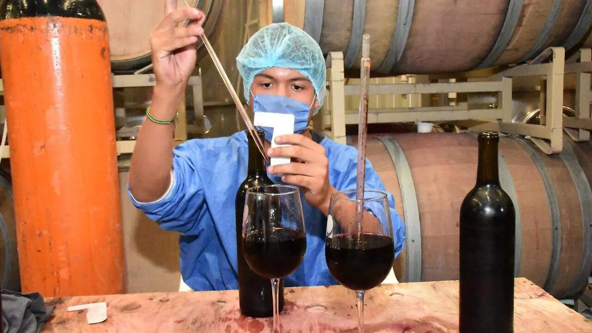 vino (1)