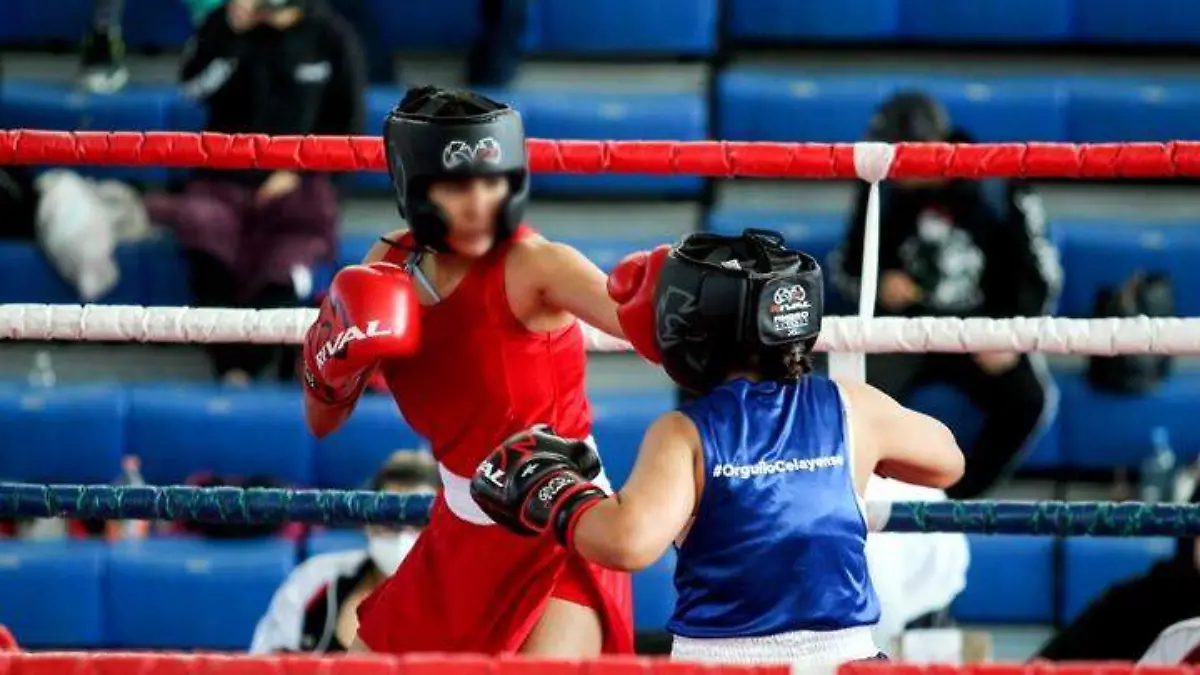 Pugilistas potosinas