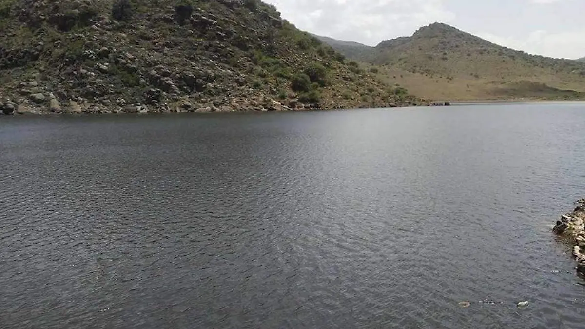 PRESA (1)