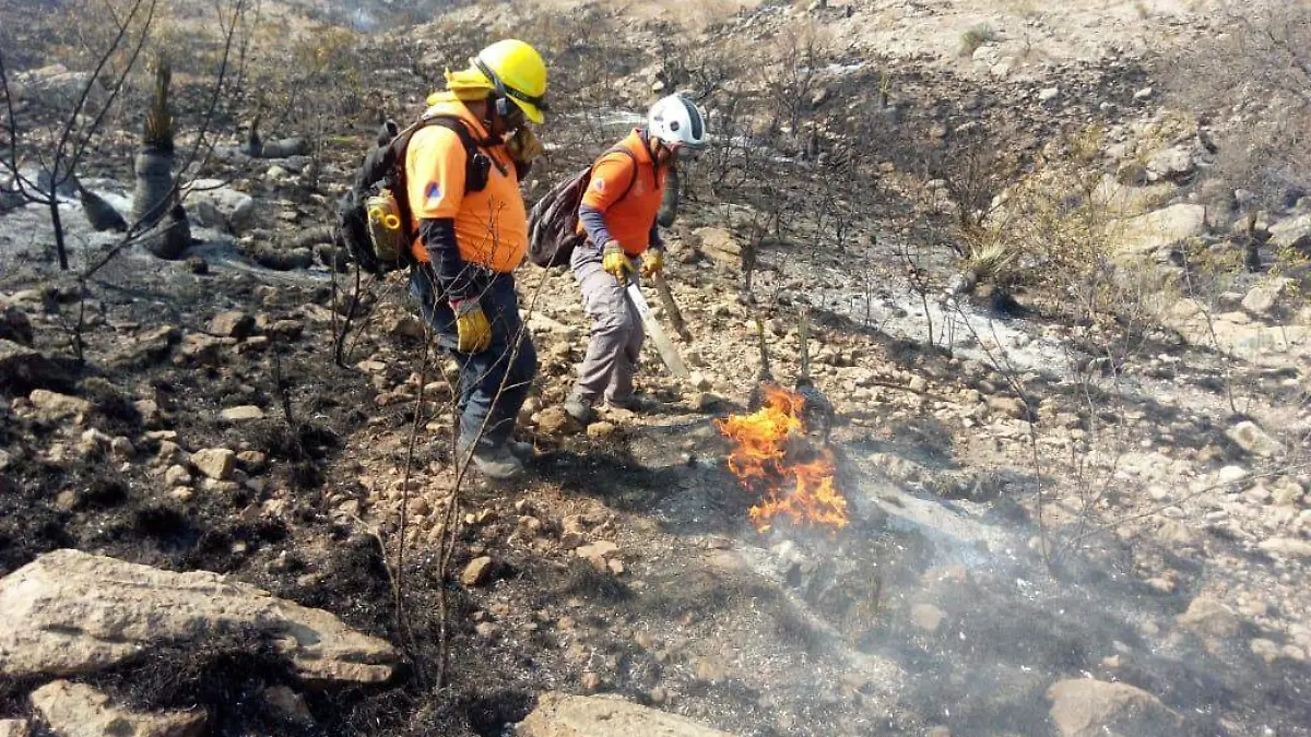 incendios  (3)