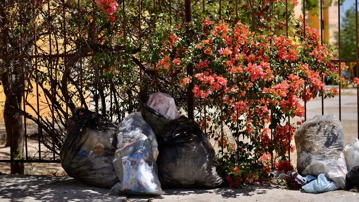 basura  (2)