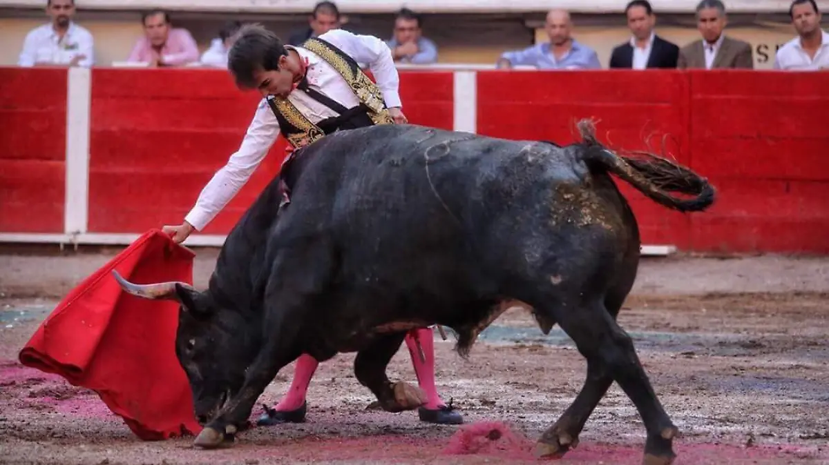 corrida plaza de toros