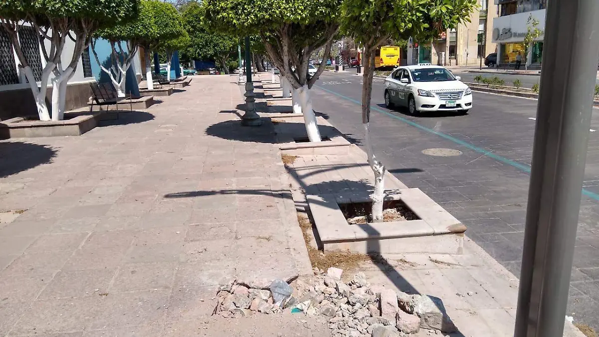 avenida Carranza (1)