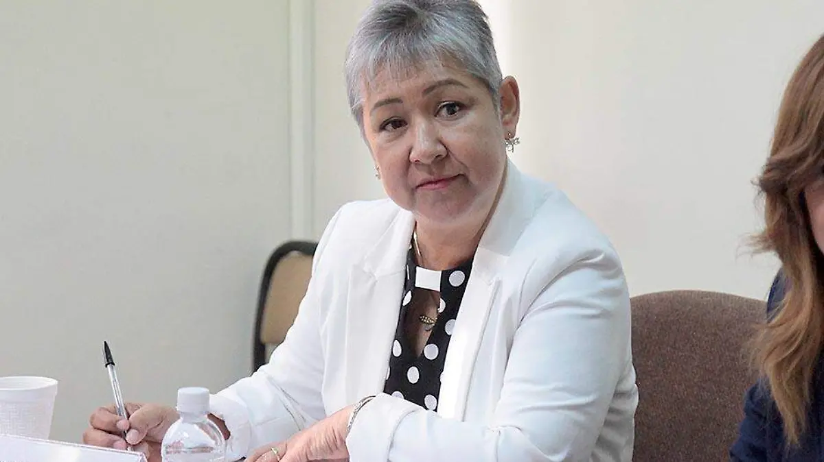 dip-marc3ada-del-consuelo-carmona-salas_1
