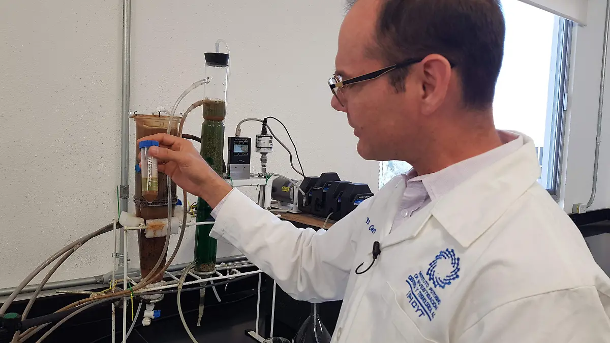 Dr. Cervantes biorreactor (1)