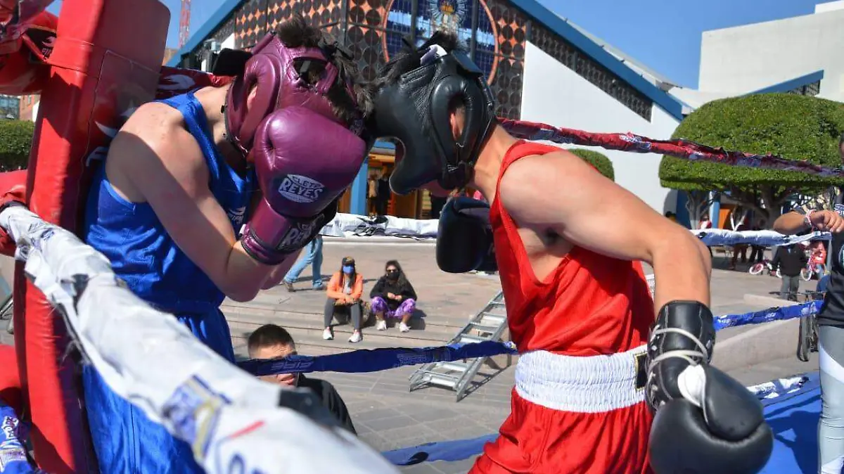 boxeadores  (1)