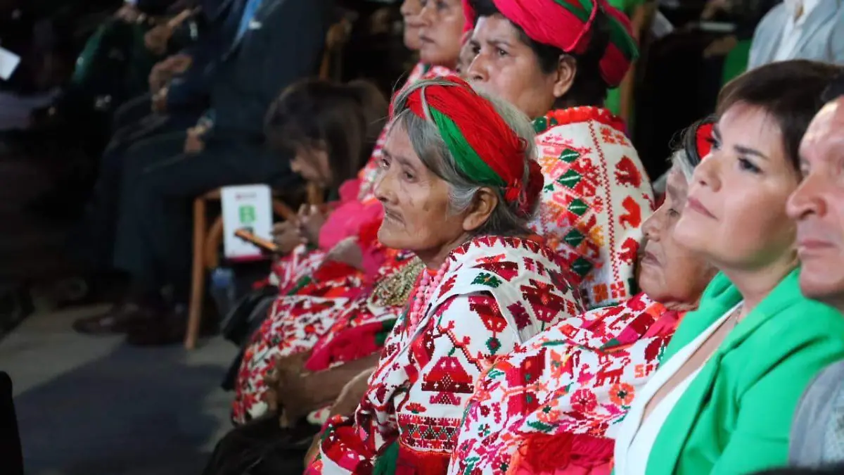 56d83c0f-10c8-40c5-bc36-9b5e2791e5d4