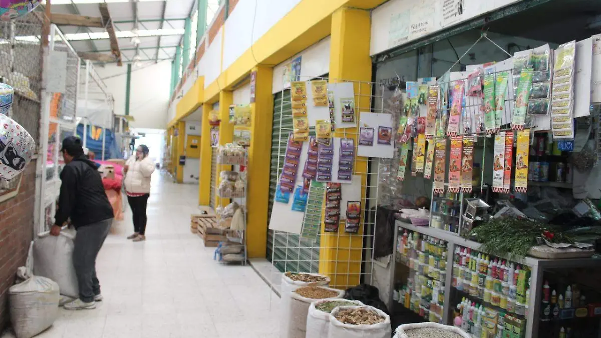Mercado Revolución