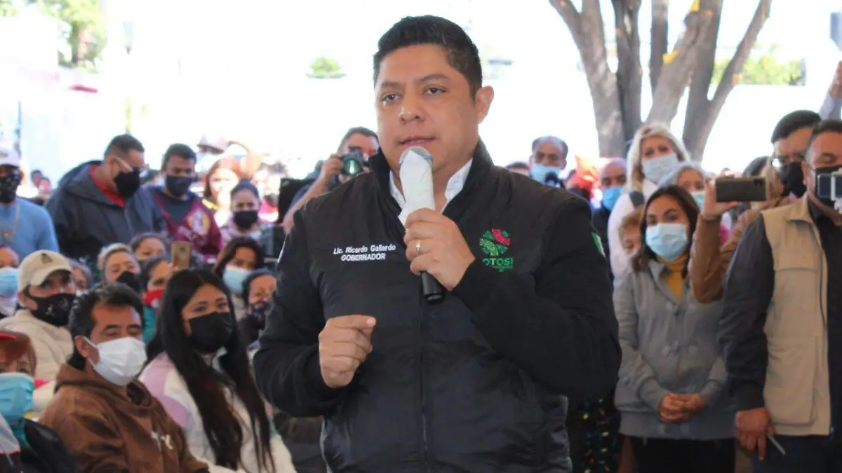 gallardo cardona