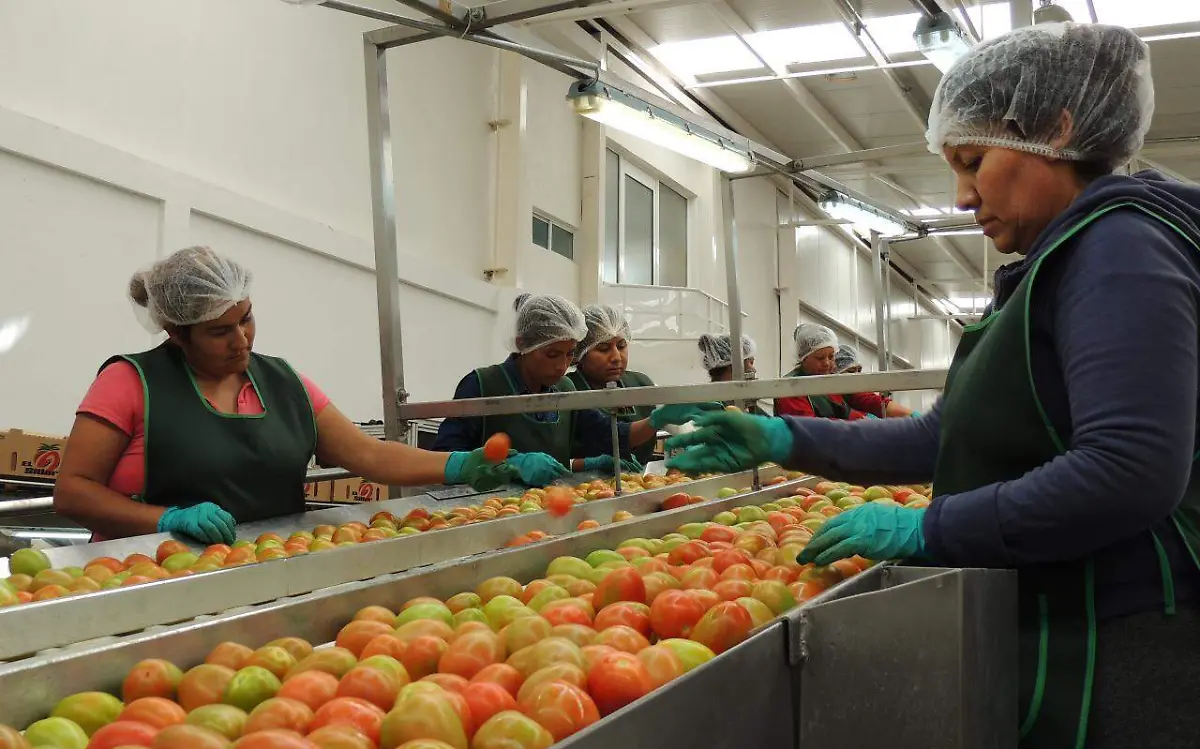 SEDARH Apoyo Productoras 251117 (2)