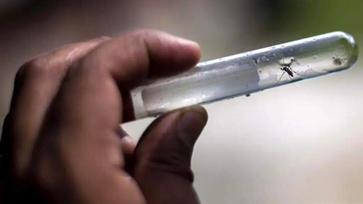 CASOS DE DENGUE SLP 3