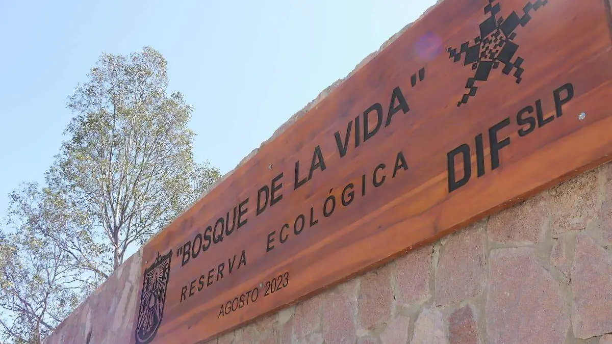 cf8d6e28-e2c2-4bb0-98a9-bcbe546e9f44