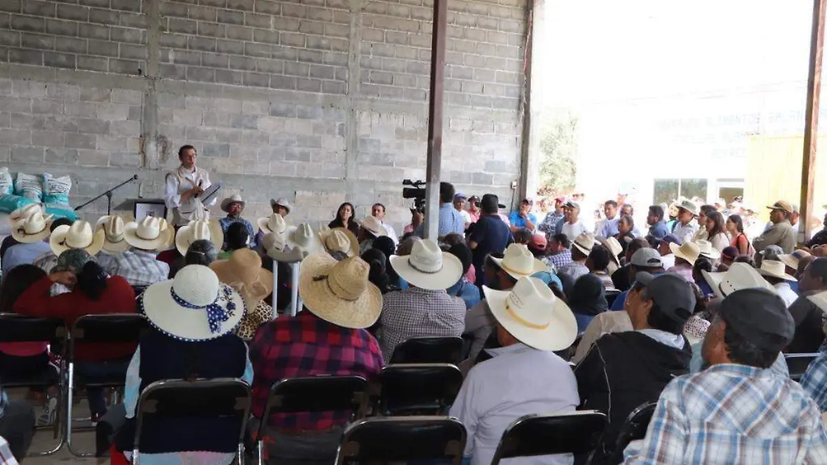 campesinos