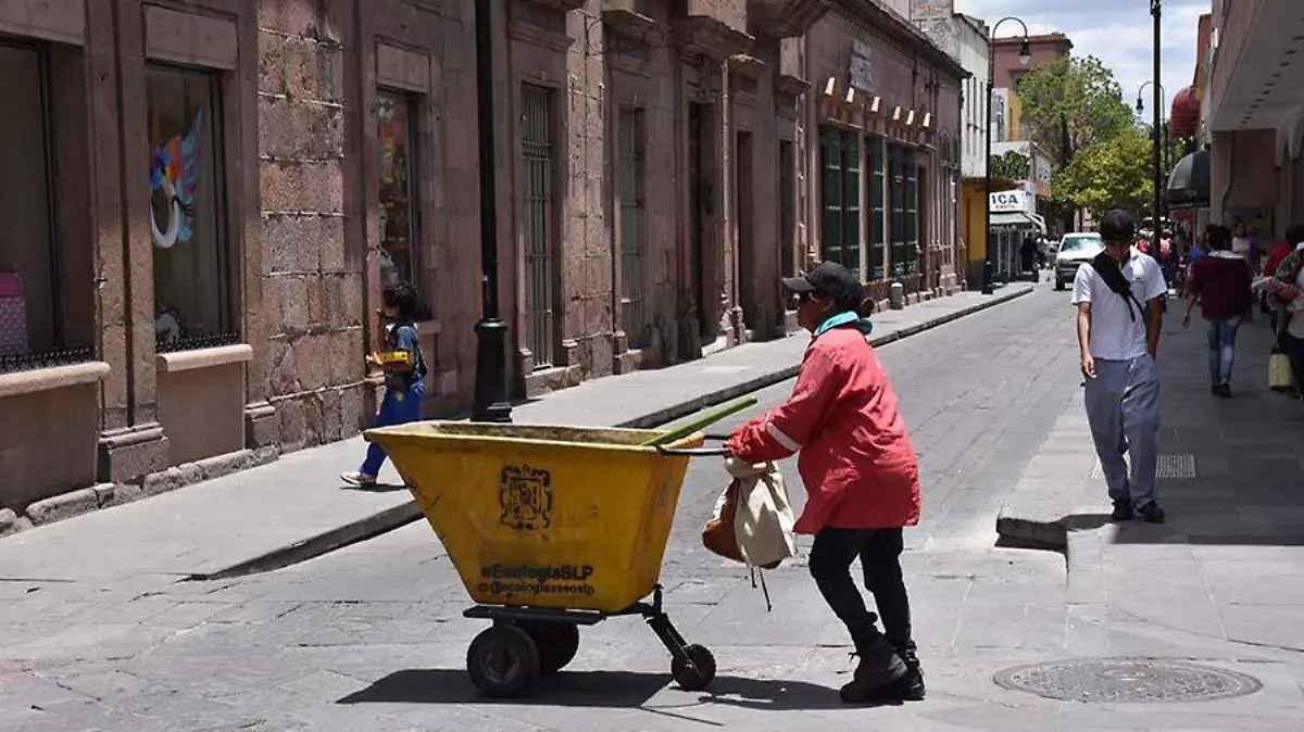 recolector de basura
