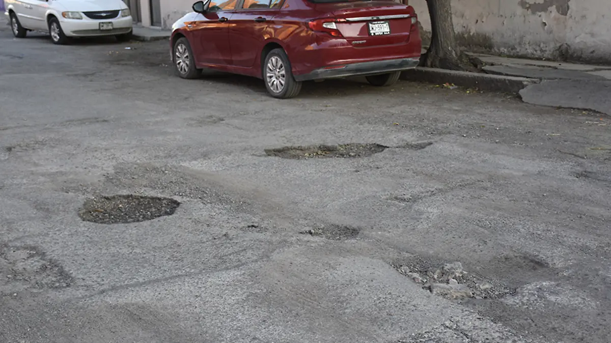 Baches-NR