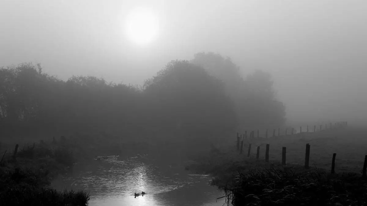 Neblina neblina frio Frío