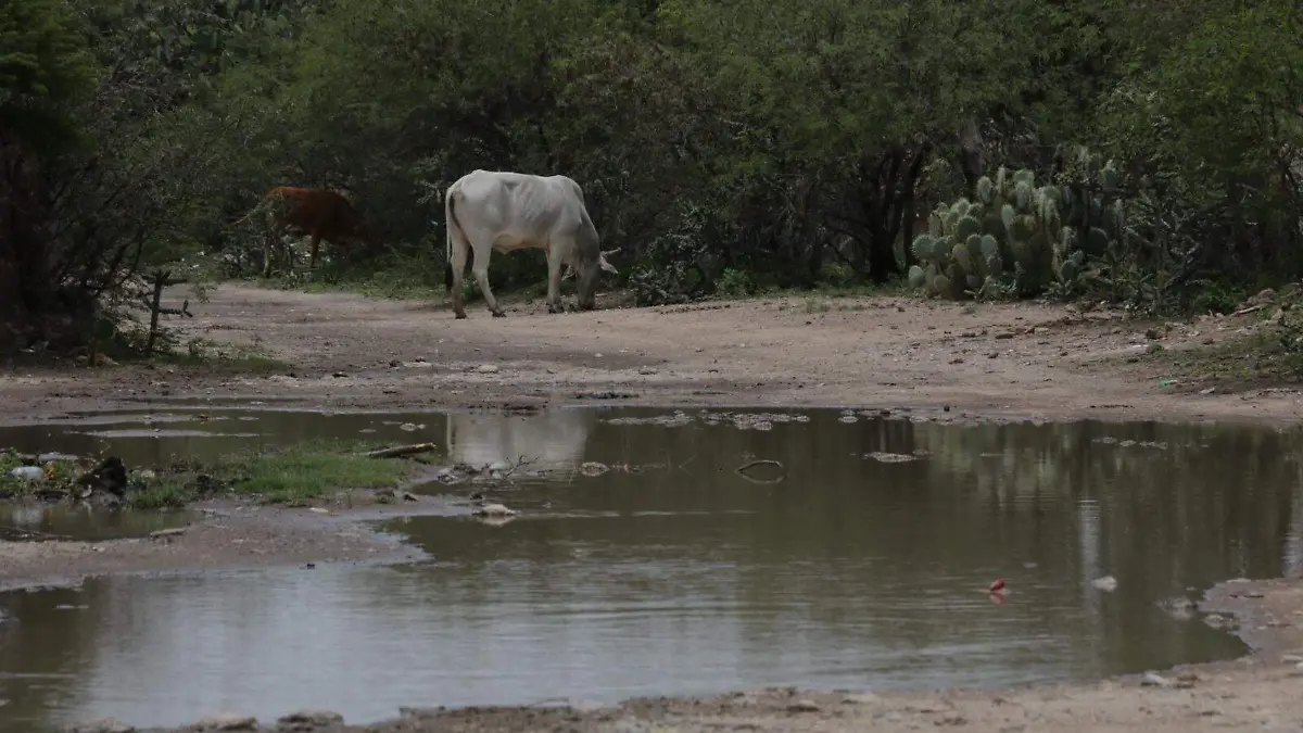 6f325762-0605-4782-a61c-4e91a8d4d4d7