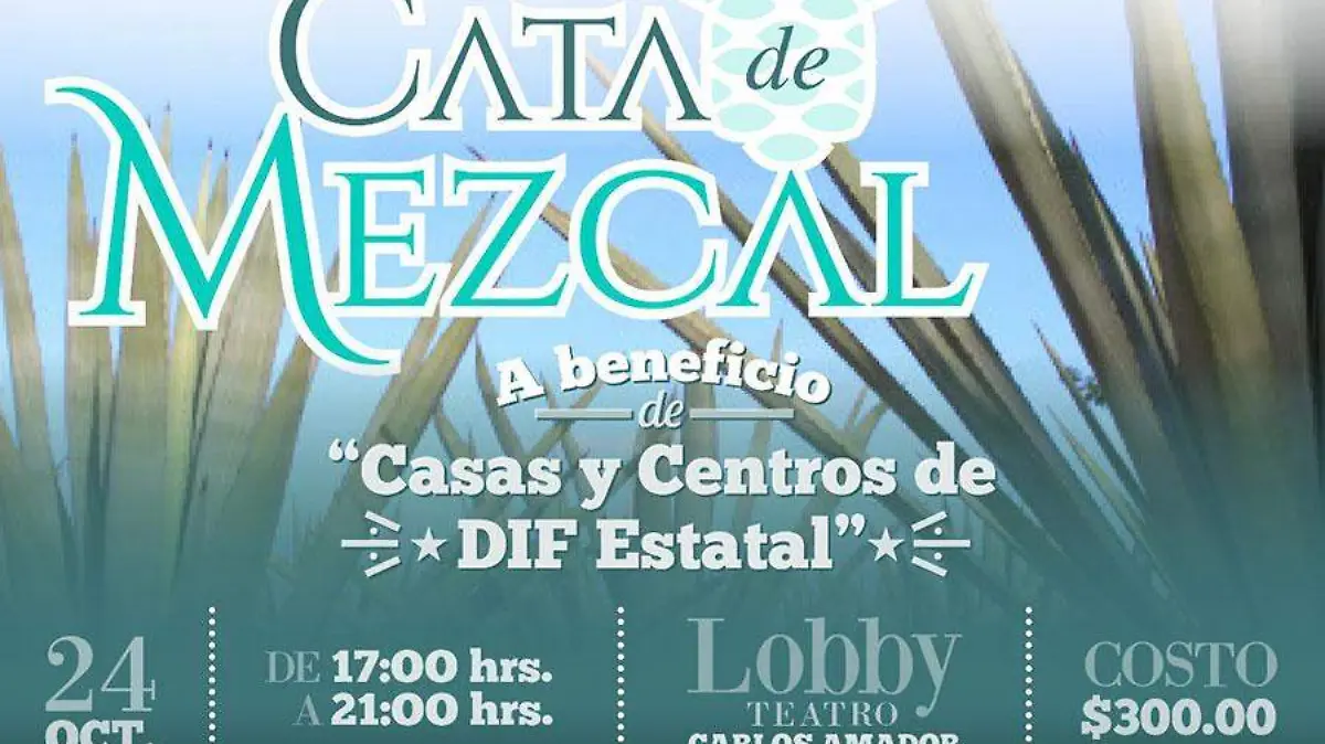 Cata-de-Mezcal-DIF
