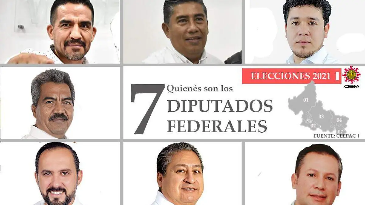 diputados loales infografia
