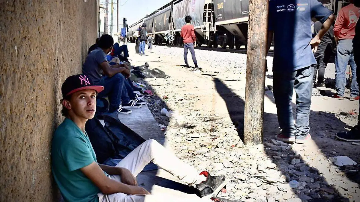 migrantes  (4)