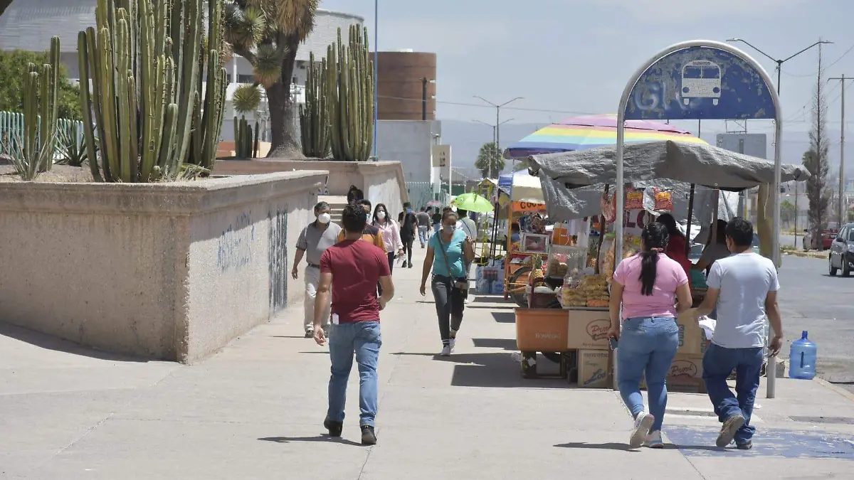 vacunación en la fenapo (7)