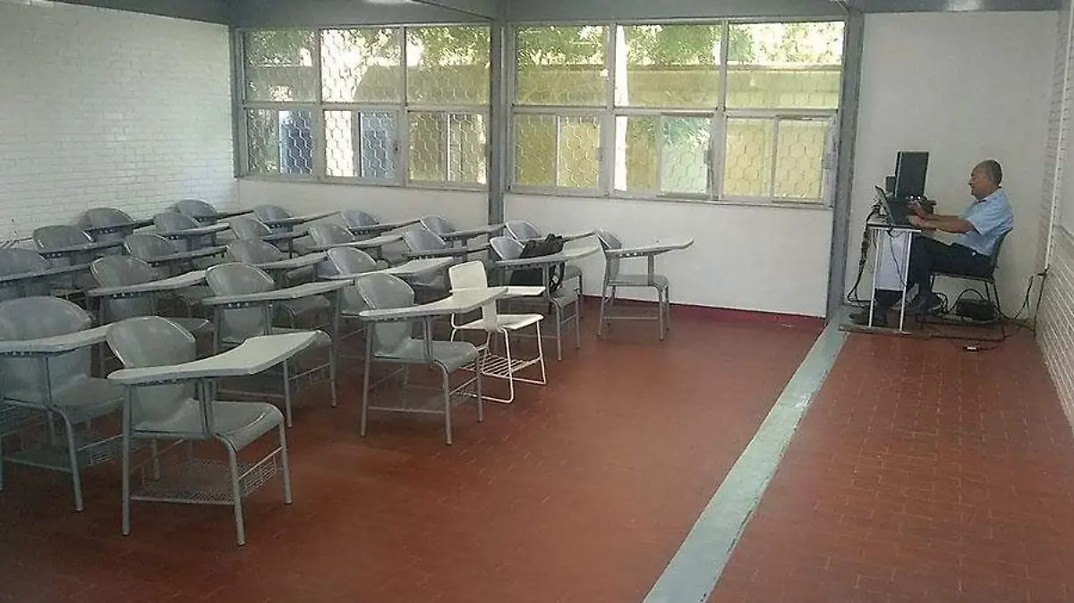 Paro-de-brazos-caidos-maestros-PC