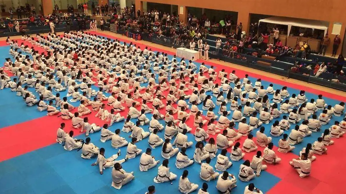 World Taekwondo Open