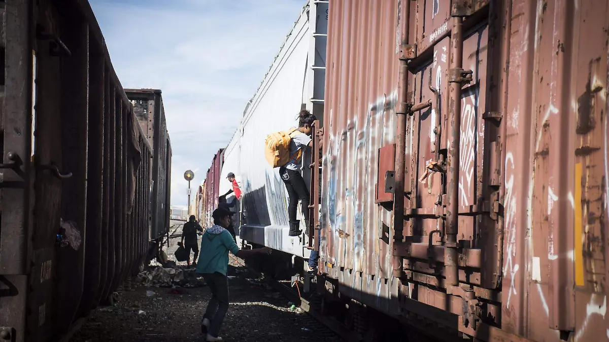 migrantes 5