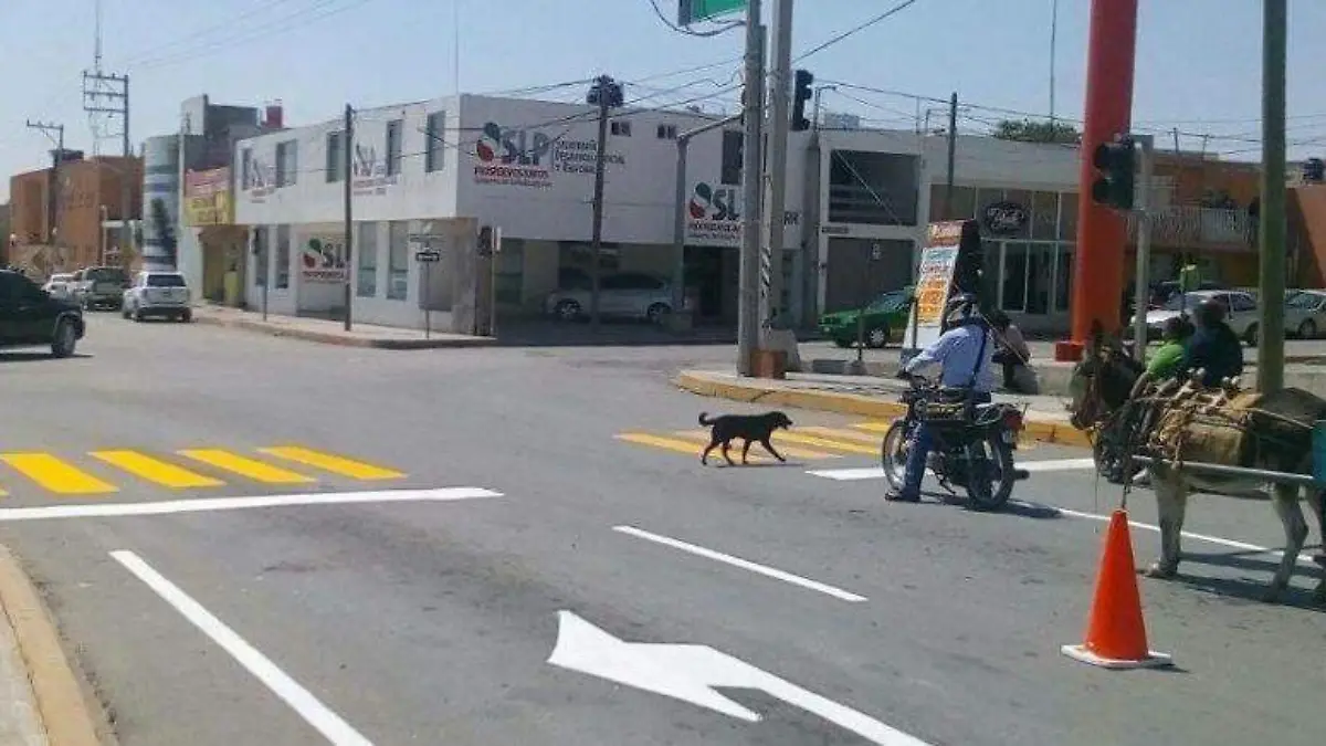 Buscan mejorar