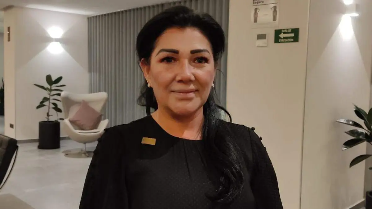  Mónica Cabrero Escareño