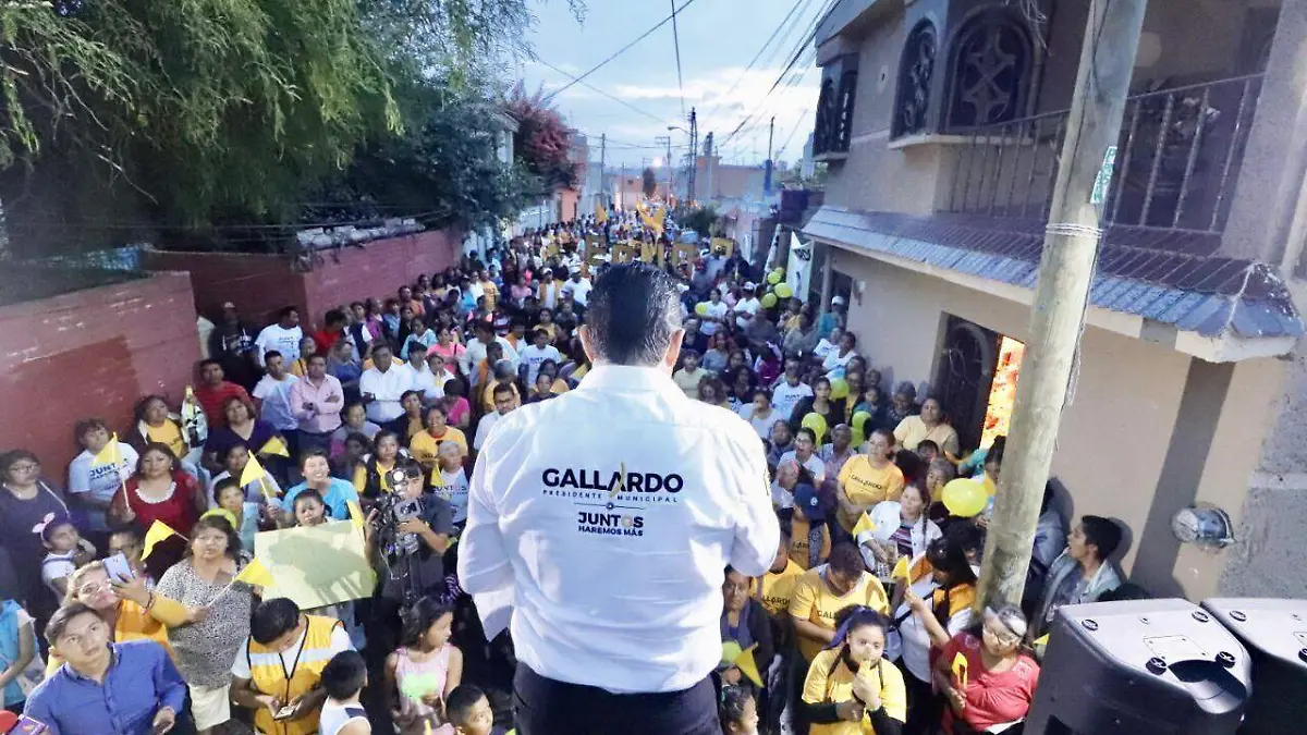FOTO GALLO
