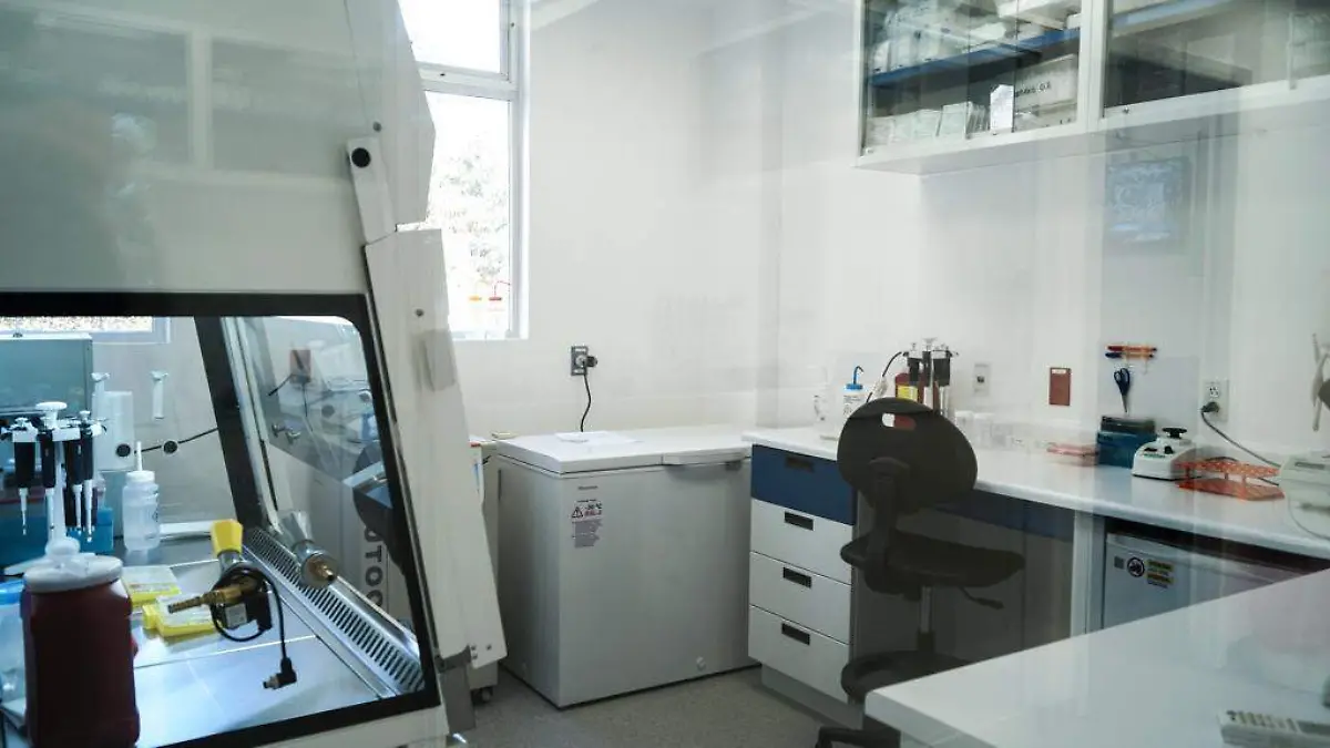 e9b64b13-259f-42f9-8947-f09fa21052b2