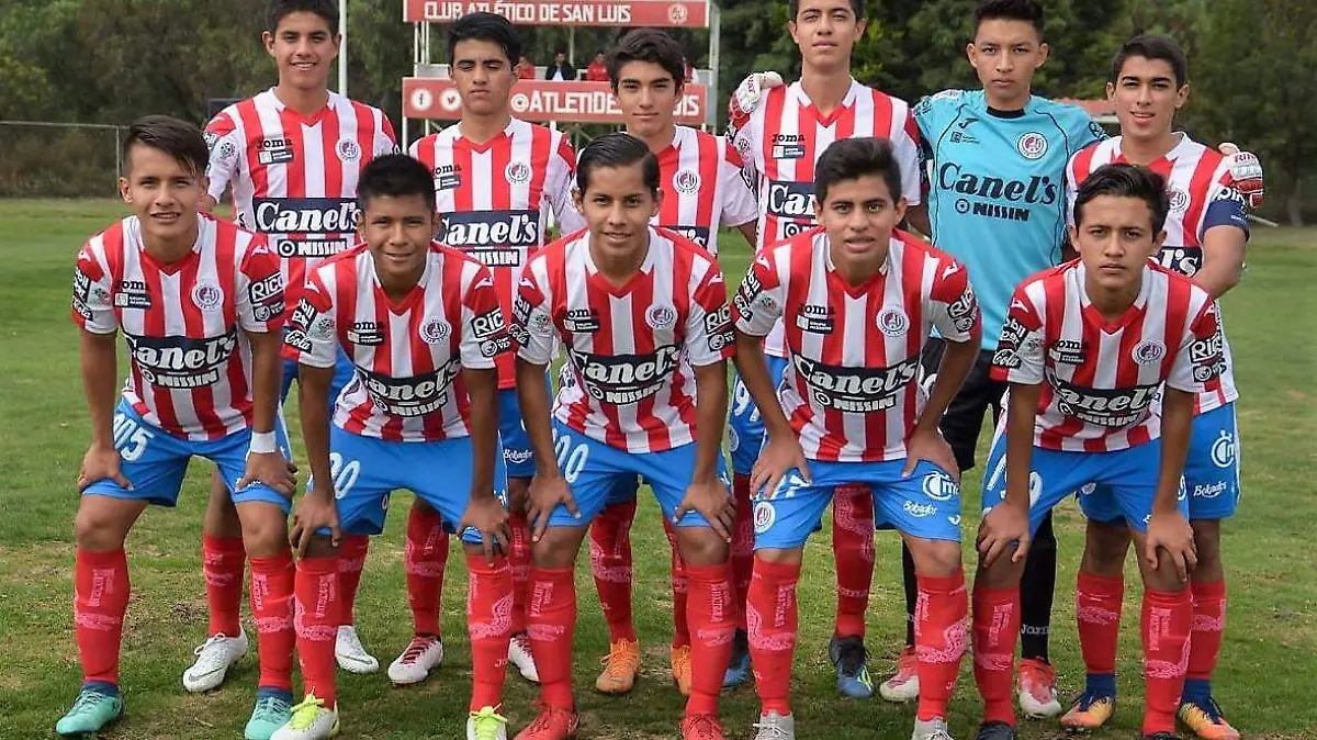 TERCERA 15