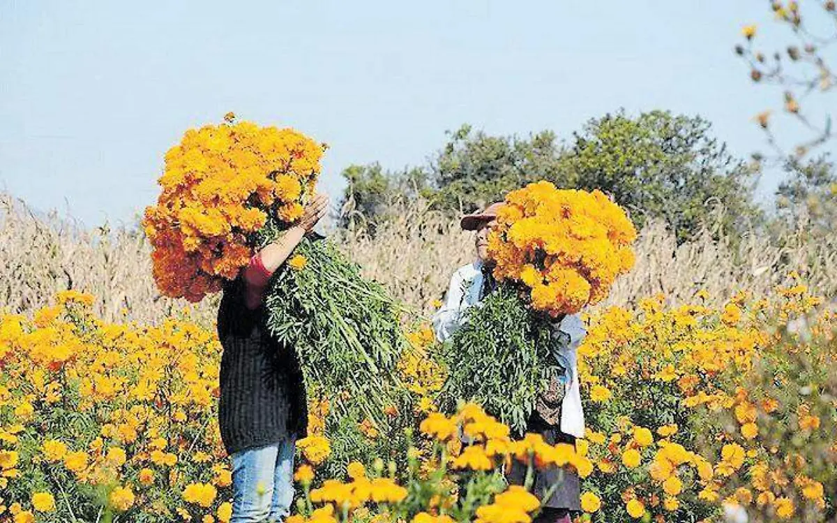 GetImageContent[4]