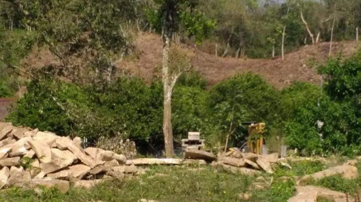 vestigios arqueologicos de Calmecayo en Coxcatlan
