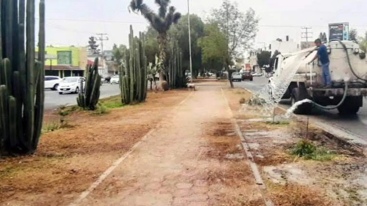 REDOBLAN CUADRILLAS MUNICIPALES RIEGO EN ÁREAS VERDES DE SLP 4