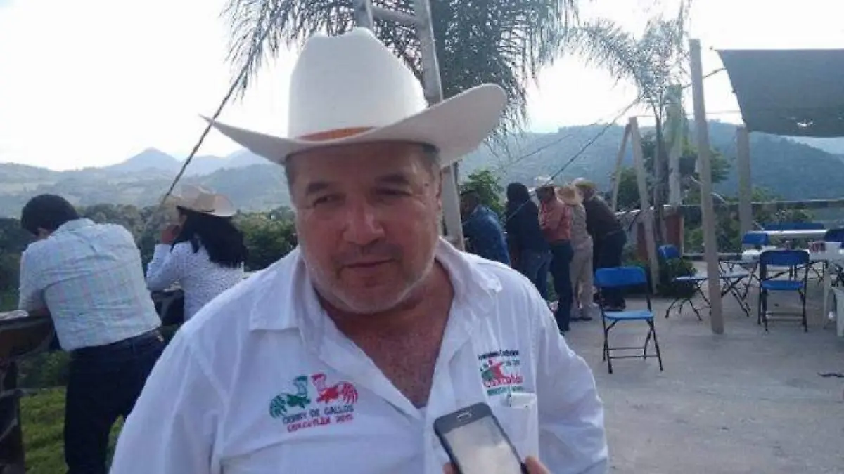 alcalde manuel morales ramirez