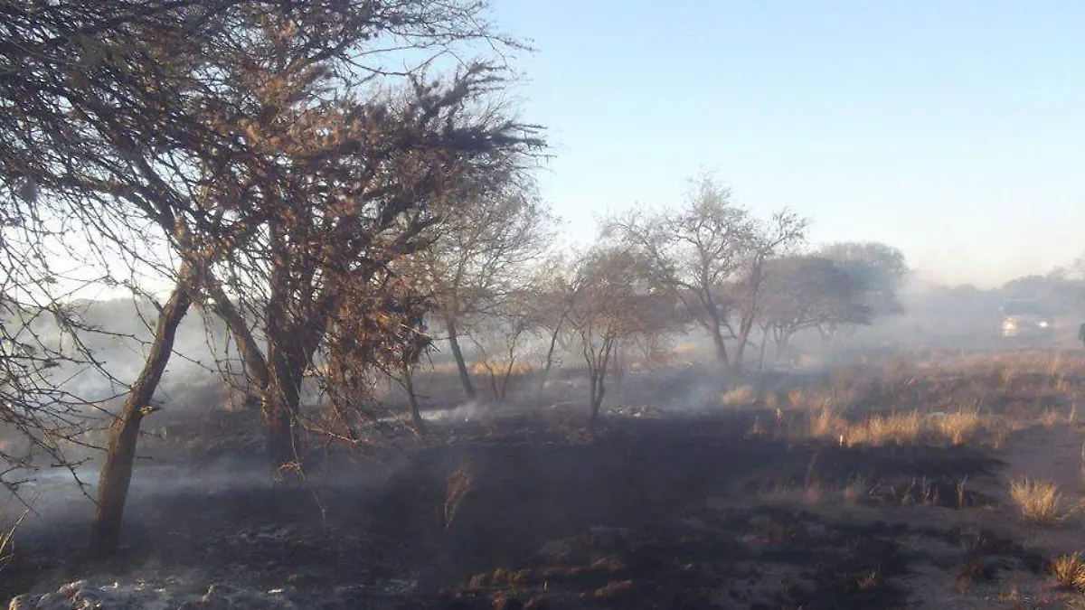 Incendios en Mexquitic