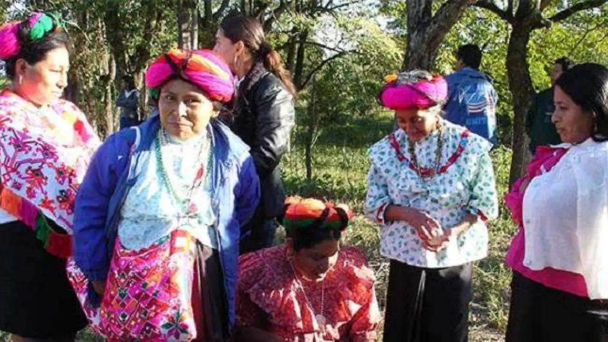 eleccion limpia indigenas tenek