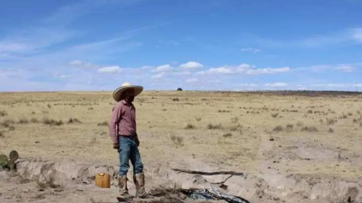campo, Campesinos (1)