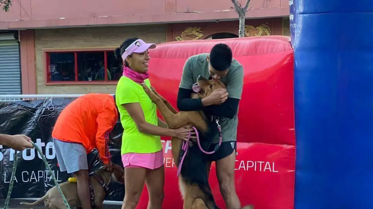 f6c6754d-6de6-4e98-9000-171200859934