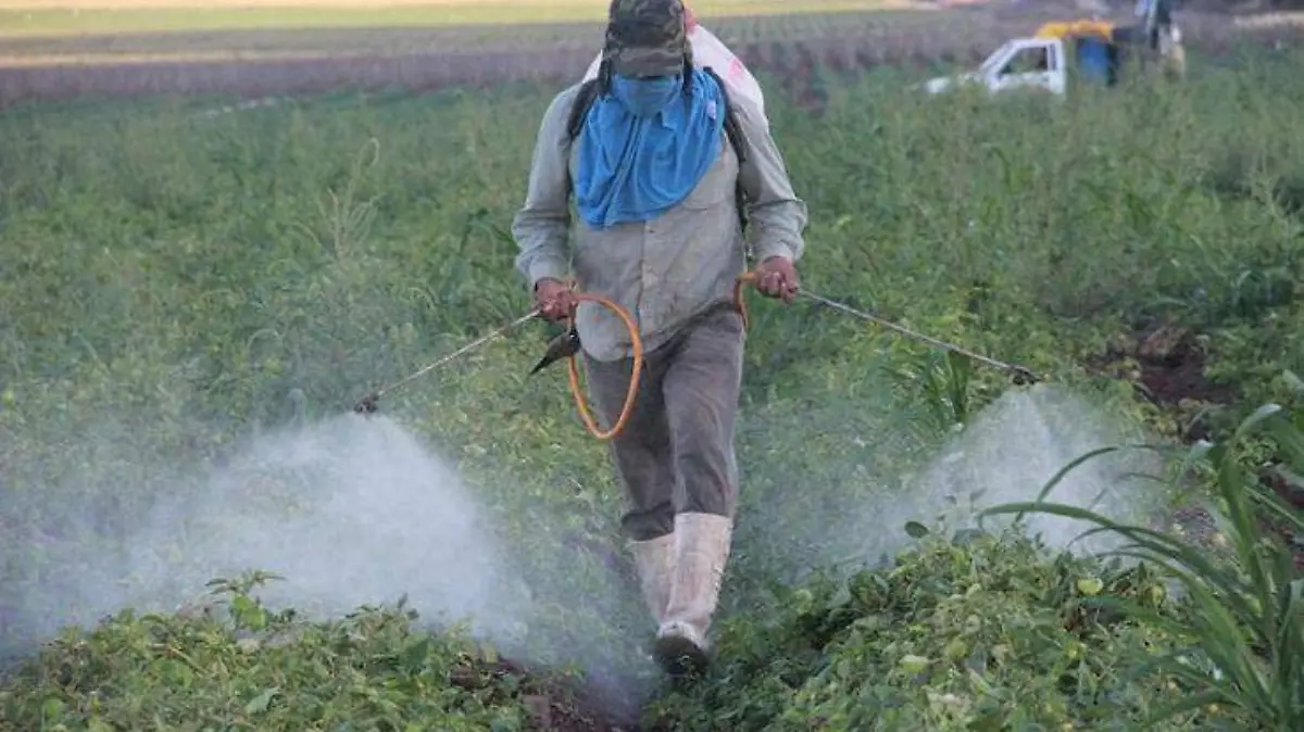 Abonos y fertilizantes