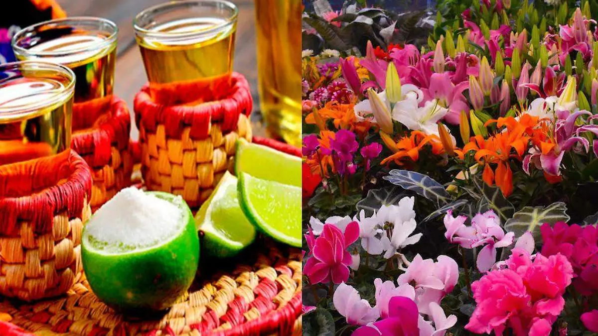 Feria de las Flores y Bebidas Artesanales