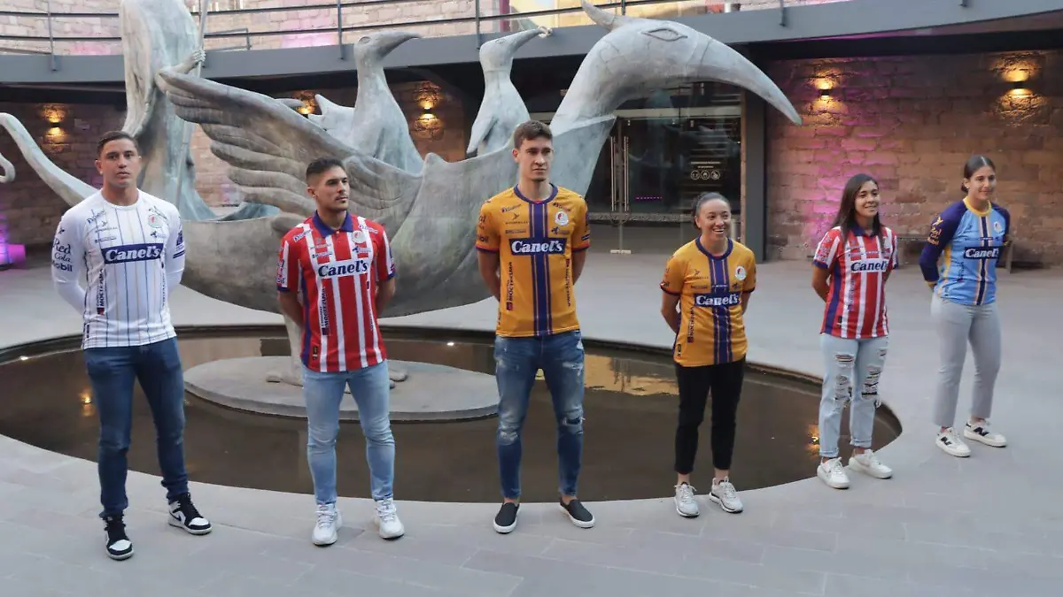 2565b02f-1d97-4457-8e97-2b7e588e144d