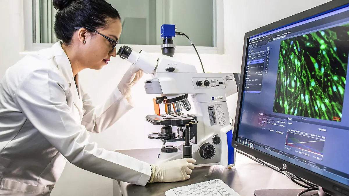 BIOMEDICINA 00 IMG_7933